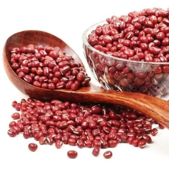Geleneksel Mexica Red Bean Kırmızı Oturak Fasulye Tohumu (10 Tohum) ürün görseli 1