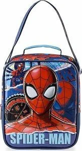 SPIDERMAN BESLENME CANTASI DUE TORN W2 48095 ürün görseli 1