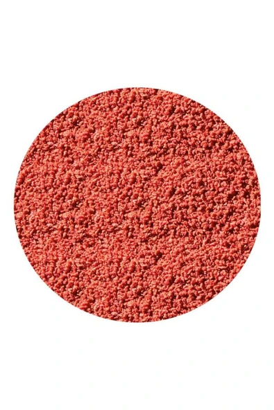Sera Bettagran Beta Balık Yemi 5 gr - Resim 2