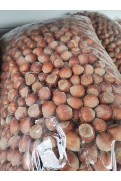 Kabuklu Fındık 1kg - Doğal Yeni Mahsul ürün görseli 1