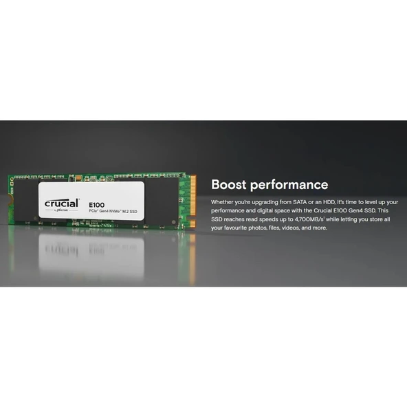 Crucial E100 1TB NVME M.2 SSD Disk CT1000E100SSD8 - Resim 3