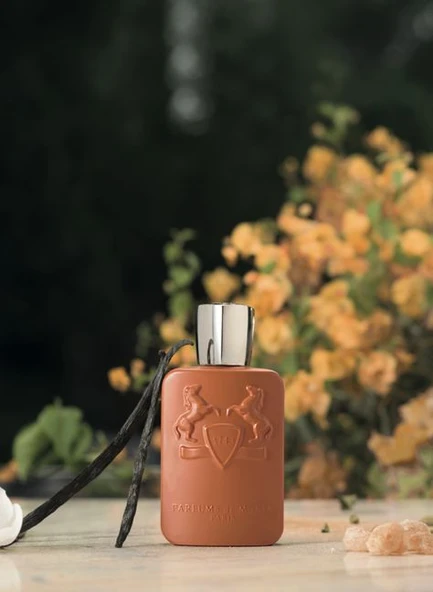 PTTAVM: Parfums De Marly Althair EDP 125 ml Erkek Parfüm