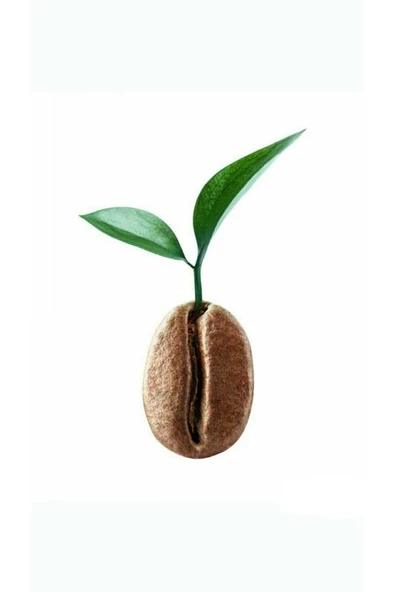 Garson Katlama Peçete 24x24 Cm -100 Adet - Resim 2