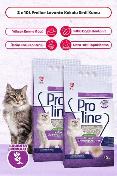 Lavanta Kokulu Kedi Kumu 10 Lt x 2 Adet ürün görseli 1