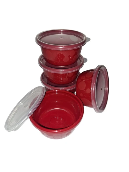 Hobby Life Tick Tock Hava Sızdırmaz Saklama Kabı 5'li Set 5 x 250 ML Kırmızı ürün görseli 1
