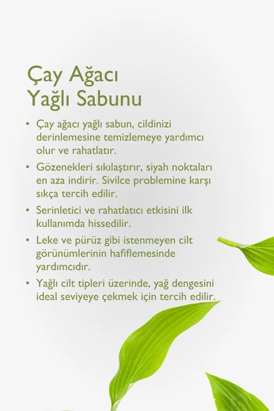 Çay Ağacı Yağlı Sabun 125gr - Resim 2