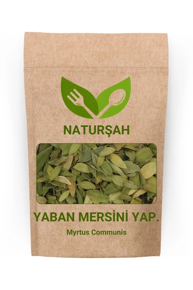 Naturşah Yaban Mersini Yaprağı 500 Gr ürün görseli 1