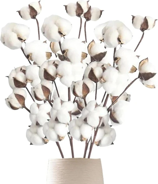Nettenevime 3lü Set Doğal Pamuk Çiçeği 9lu Kuru Çiçek 60cm Yapay Çiçek ürün görseli 1