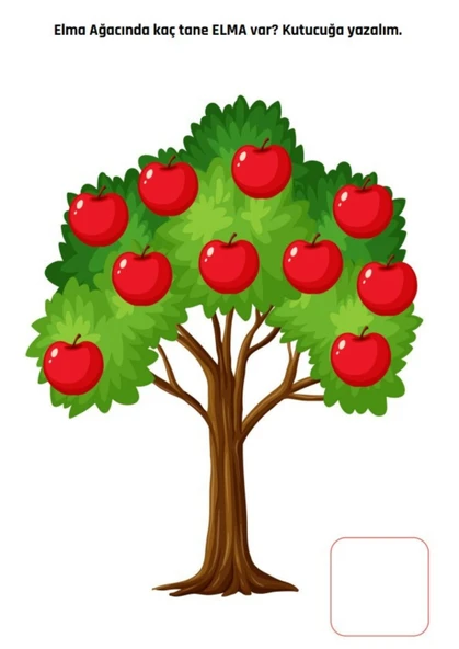 Kodlamalı Matematik YAZ-SİL Kitabı - Resim 3