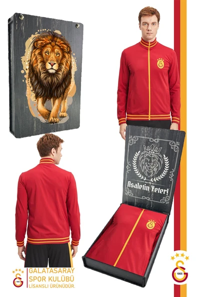 Galatasaray Orijinal Lisanslı Dik Yaka Fermuarlı Erkek Sweat Gs Aslan Baskılı Hediyelik Ahşap Kutulu ürün görseli 1