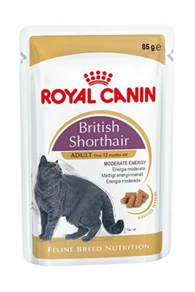 Royal Canin Britisih Shorthair Kedi Konservesi 85 gr ürün görseli 1