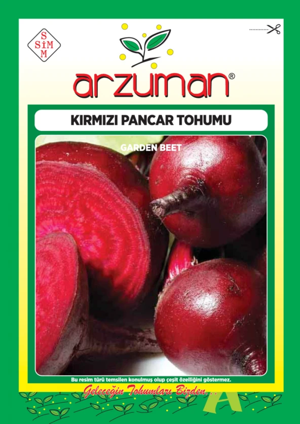 KIRMIZI PANCAR TOHUMU 10 GR ORT 600 AD TOHUM ürün görseli 1