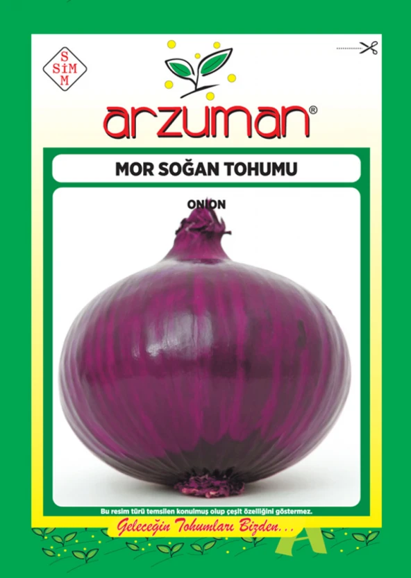 MOR SOĞAN TOHUMU 5 GR ORT 1250 AD TOHUM ürün görseli 1