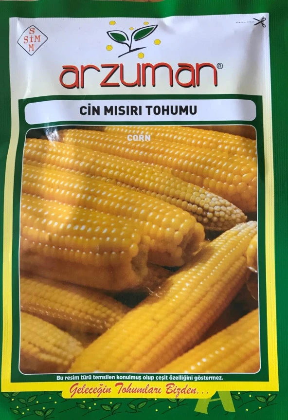 PATLAYAN MISIR (CİN MISIR) TOHUMU 25 GR ürün görseli 1