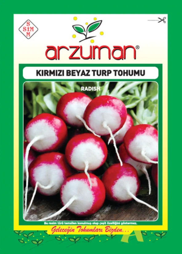 KIRMIZI BEYAZ FINDIK TURP TOHUMU 10 GR ORT 900 AD TOHUM ürün görseli 1