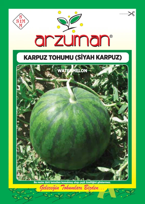 SİYAH KARPUZ TOHUMU 10 GR ORT 100 AD TOHUM ürün görseli 1