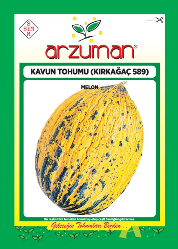 KIRKAĞAÇ 589 KAVUN TOHUMU 10 GR ORT 200 AD TOHUM ürün görseli 1