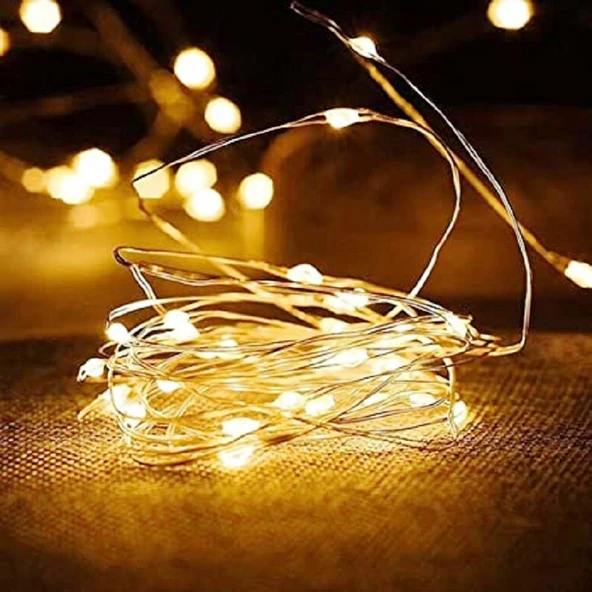 PİLLİ 3 METRE GÜN IŞIĞI PİLLİ LED IŞIK GÜN IŞIĞI LED IŞIK YILBAŞI AĞACI IŞIĞI WARM LİGHT CHRİSTMAS LED ürün görseli 1