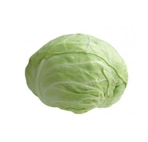 Yerli Dolmalık Beyaz Top Lahanası Tohumu 10 Gr (Ort 2000 Ad) ürün görseli 1
