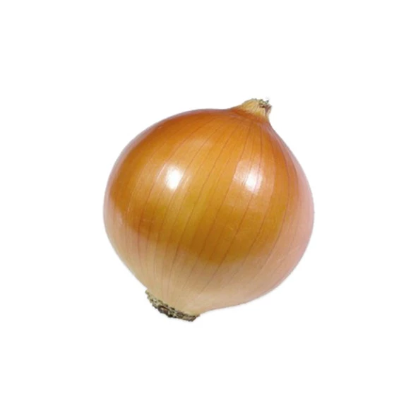 Yerli Sarı Soğan Tohumu - 10 Gr (Ort 2500 Ad Tohum) ürün görseli 1