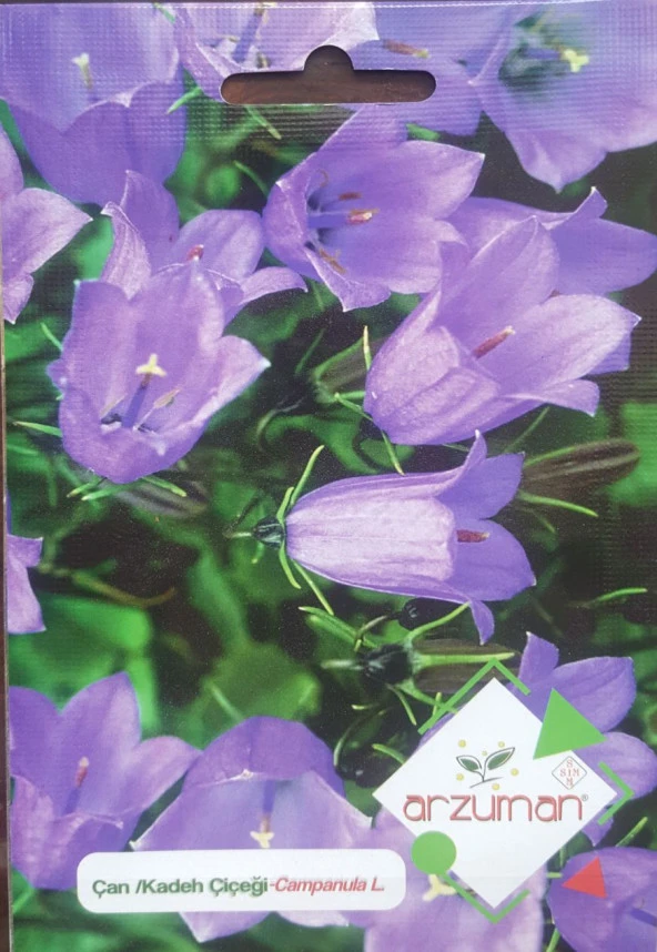 KADEH/ÇAN ÇİÇEĞİ TOHUMU 100 ADET TOHUM ürün görseli 1