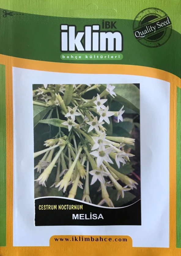 Melisa Çiçek Tohumu - Cestrum Nocturnum (~ Takribi 40 Tohum) ürün görseli 1