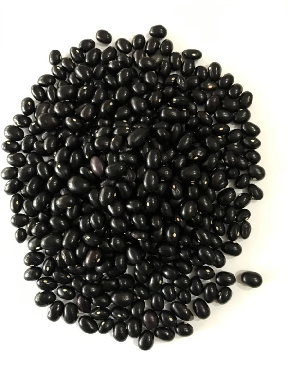 YERLİ SIRIK FASULYE TOHUMU (SİYAH) 100 GR ürün görseli 1