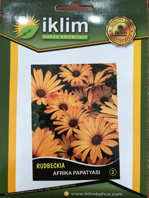 AFRİKA PAPATYASI ÇİÇEĞİ TOHUMU-2 ürün görseli 1