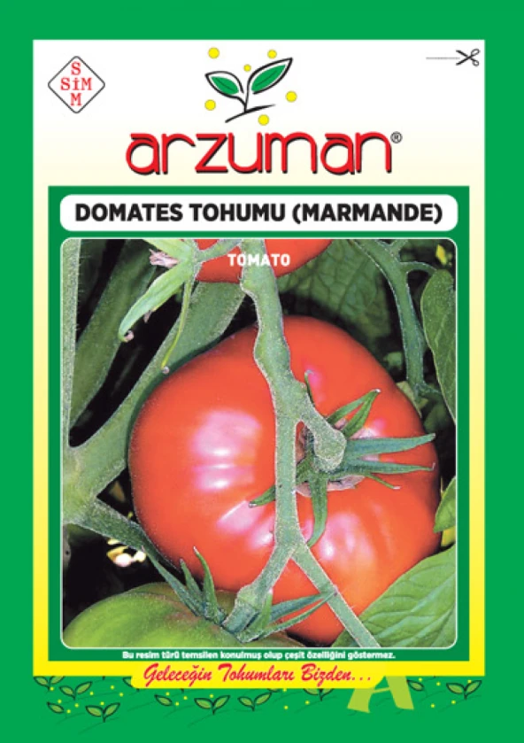 MARMANDE DOMATES TOHUMU 300 AD TOHUM ürün görseli 1