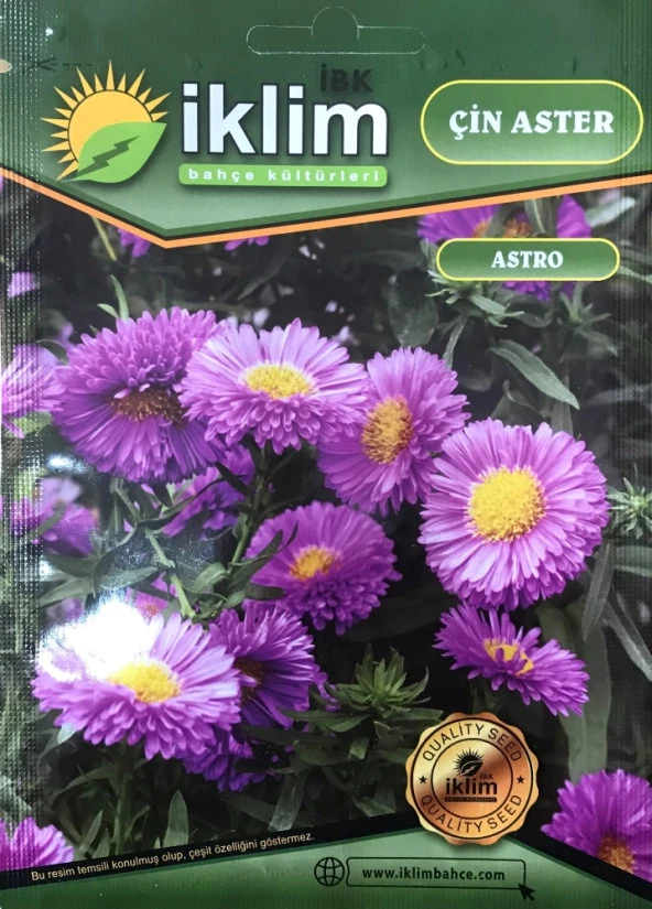 Çin Aster Çiçek Tohumu - Callistephus Chinensis (~ Takribi 40 Tohum) ürün görseli 1