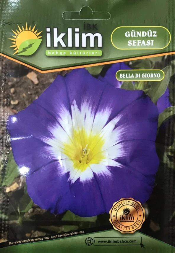 Gündüz Sefası Çiçek Tohumu - Convolvulus Tricolor (~ Takribi 10 Tohum) ürün görseli 1