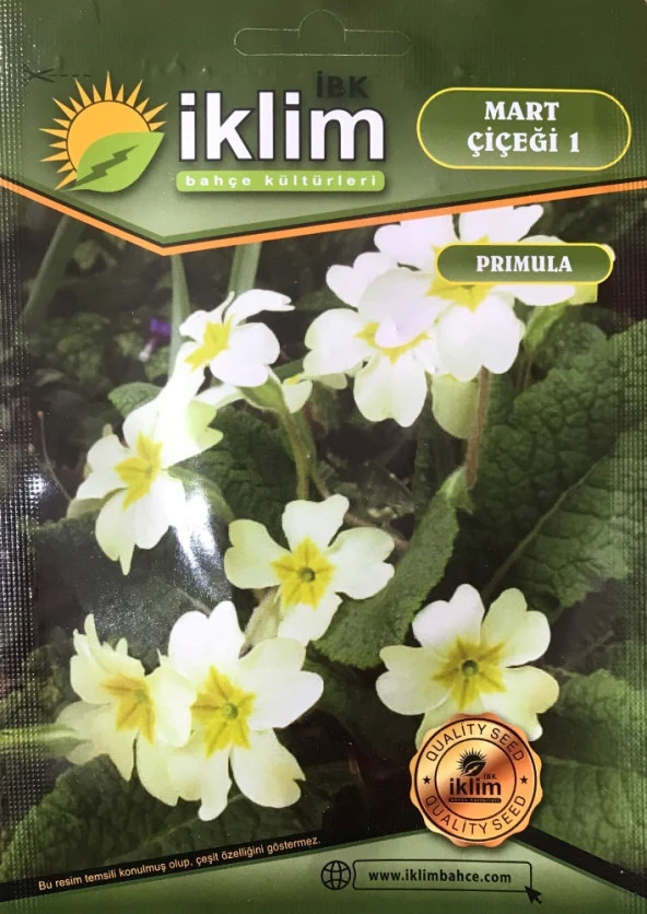 Mart Çiçeği Çiçek Tohumu 1 - Primula Acaulis (~ Takribi 30 Tohum) ürün görseli 1