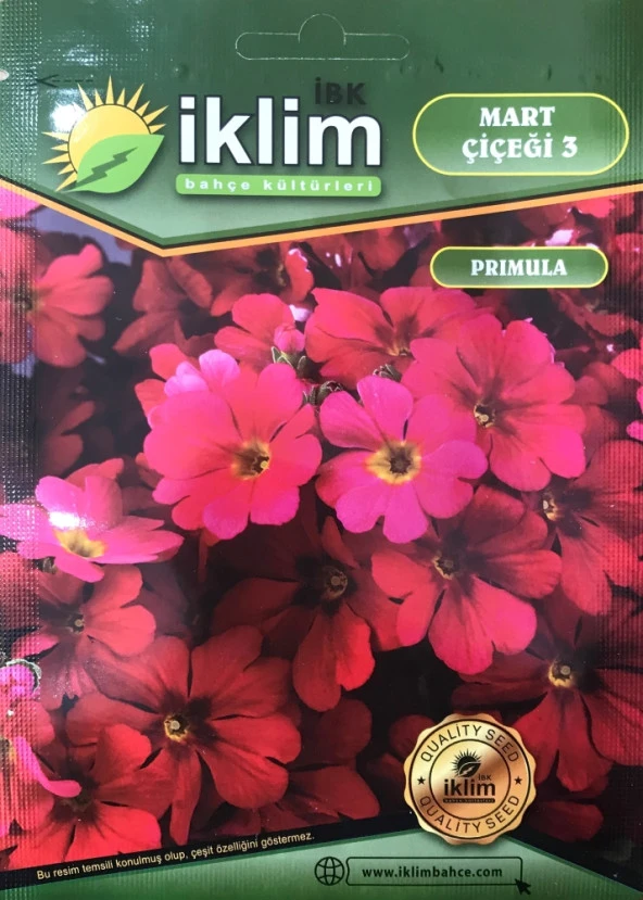 Mart Çiçeği Çiçek Tohumu 3 - Primula Acaulis (~ Takribi 30 Tohum) ürün görseli 1