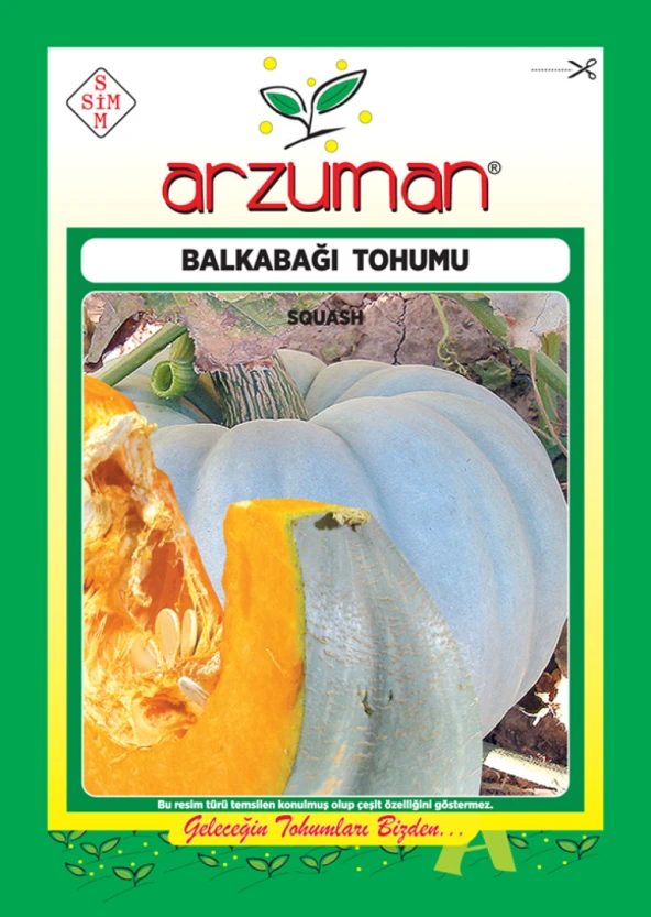 BAL KABAĞI TOHUMU 10 GR ORT 25 AD TOHUM ürün görseli 1