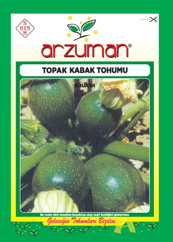 SİYAH TOPAK KABAK TOHUMU 10 GR ORT 75 AD TOHUM ürün görseli 1