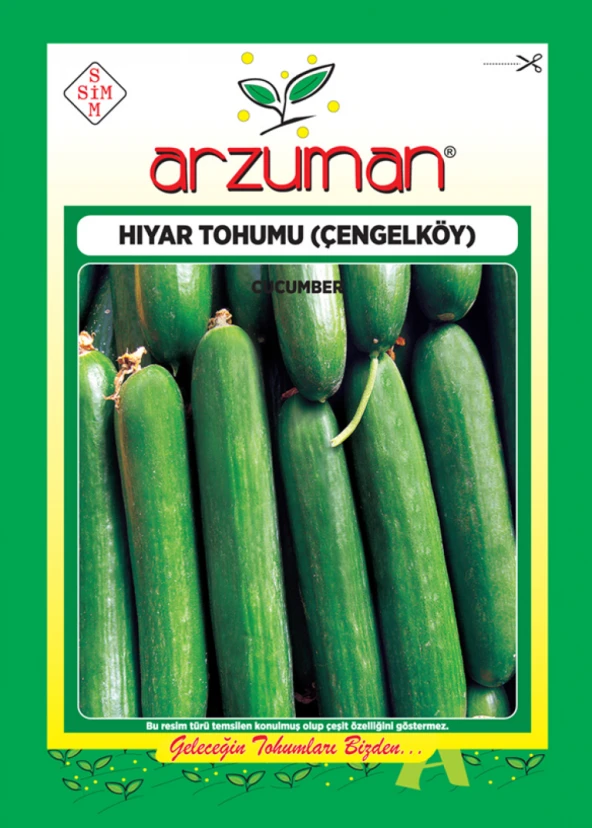 ÇENGELKÖY SALATALIK TOHUMU 10 GR ORT 300 AD TOHUM ürün görseli 1