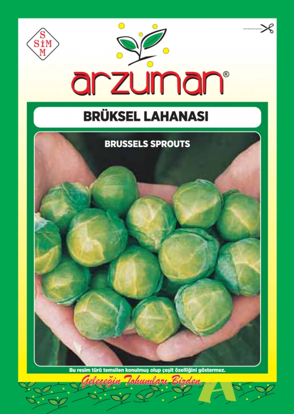BRÜKSEL LAHANA TOHUMU 200 AD TOHUM ürün görseli 1
