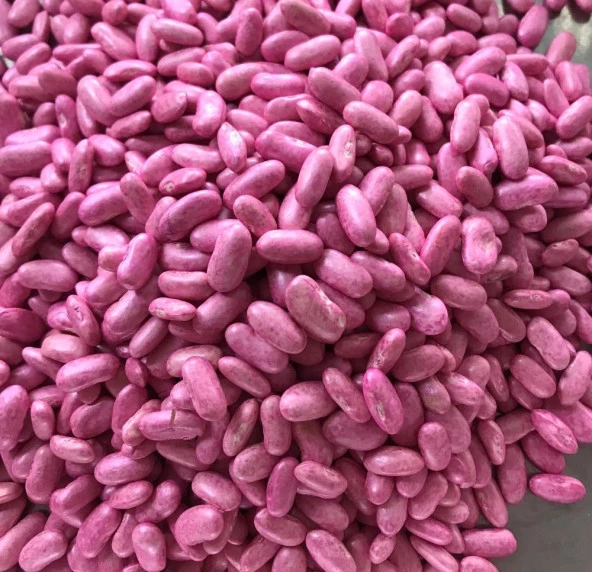 ALMAN AYŞE SIRIK FASULYE TOHUMU 100 GR (İLAÇLI) ürün görseli 1