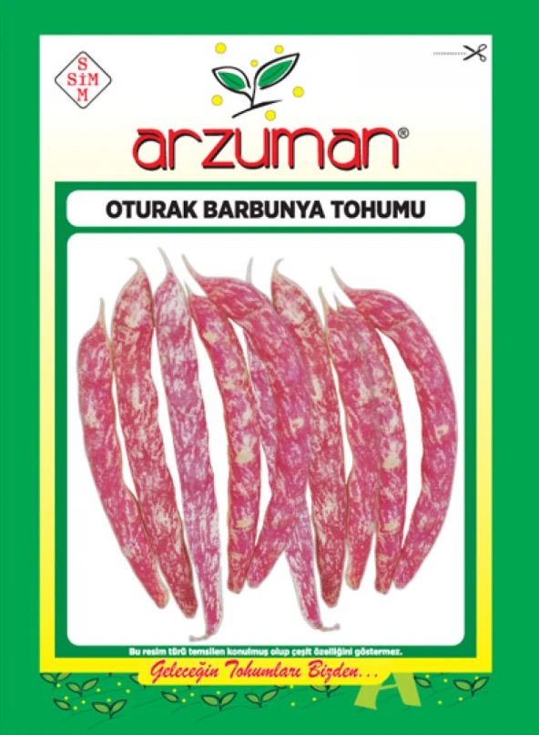 OTURAK BARBUNYA TOHUMU 50 GR ürün görseli 1