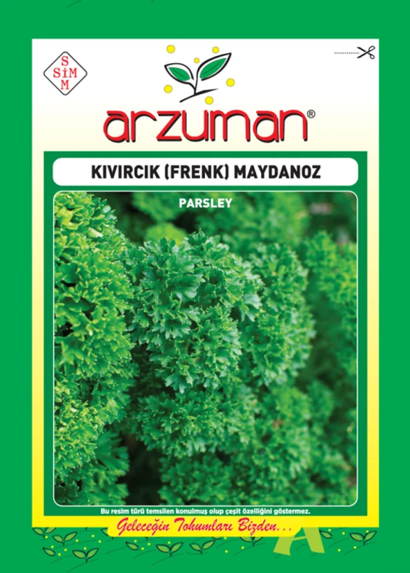 KIVIRCIK MAYDANOZ TOHUMU 10 GR ORT 5000 AD TOHUM ürün görseli 1
