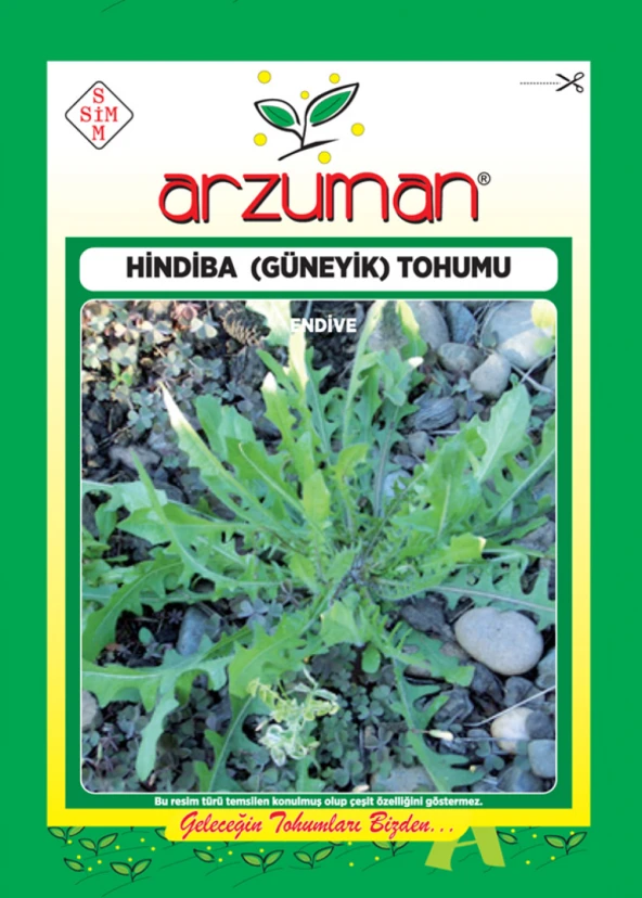 HİNDİBA (GÜYENİK) ACI MARUL TOHUMU 5 GR ürün görseli 1