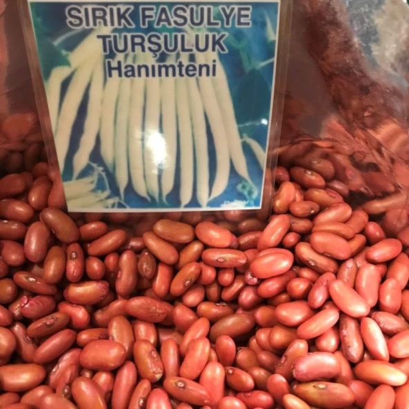 YERLİ TURŞULUK SIRIK FASULYE TOHUMU 100 GR (HANIMTENİ) ürün görseli 1
