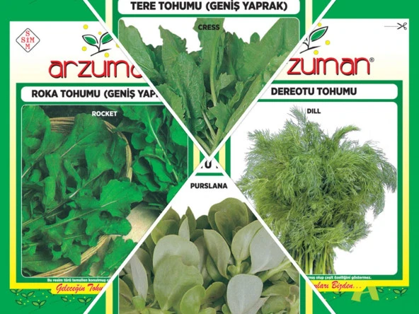 DEREOTU-ROKA-SEMİZOTU-TERE 4'LÜ TOHUM SETİ ürün görseli 1
