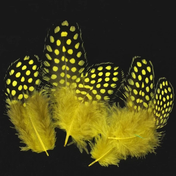 50 ADET PUANTİYELİ SARI SİYAH KUŞ TÜYÜ SARI KUŞ TÜYÜ DECOR YELLOW BIRD FEATHER SARI ŞEFFAF BALON TÜYÜ ürün görseli 1