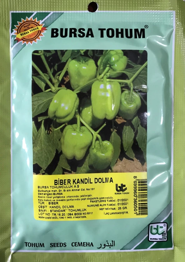 BİBER TOHUMU KANDİL DOLMA (25 GR 3000 ADET TOHUM) ürün görseli 1