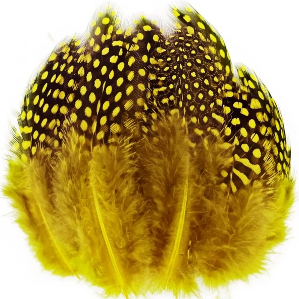 100 PCS DECOR YELLOW BIRD FEATHER 100 ADET PUANTİYELİ SARI SİYAH KUŞ TÜYÜ DEKOR SARI KUŞ TÜYÜ ürün görseli 1