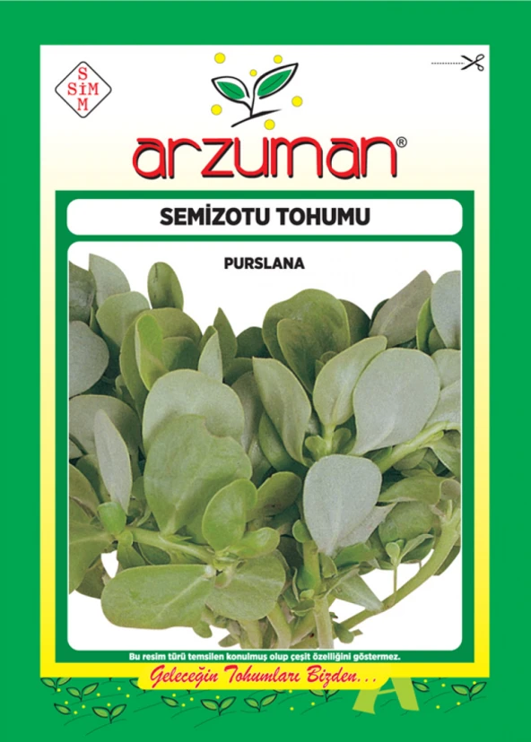 SEMİZOTU TOHUMU 10 GR ORT 4000 AD TOHUM ürün görseli 1