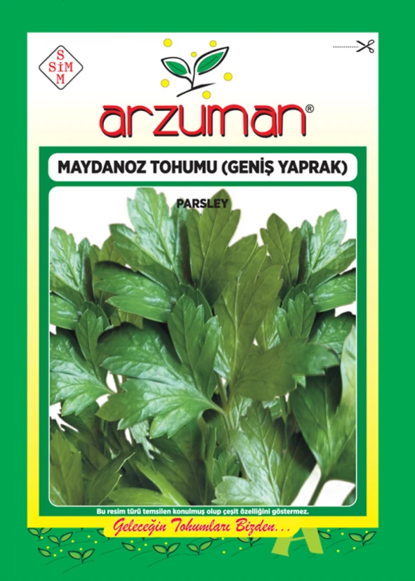 GENİŞ YAPRAK MAYDANOZ TOHUMU 10 GR ORT 5000 AD TOHUM ürün görseli 1