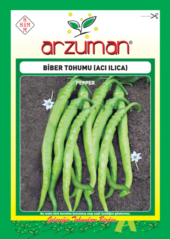 ACI ILICA BİBER TOHUMU 10 GR ORT 1200 AD TOHUM ürün görseli 1