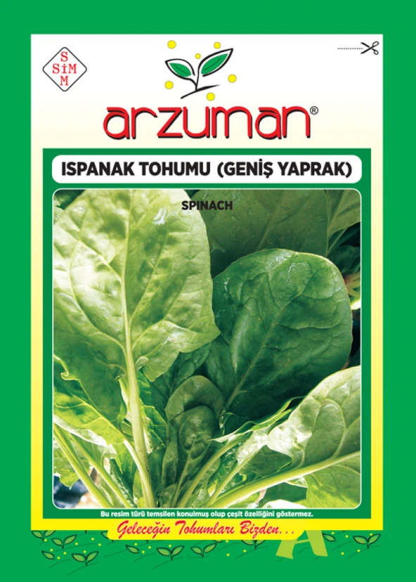 GENİŞ YAPRAK ISPANAK TOHUMU 10 GR ORT 800 AD TOHUM ürün görseli 1